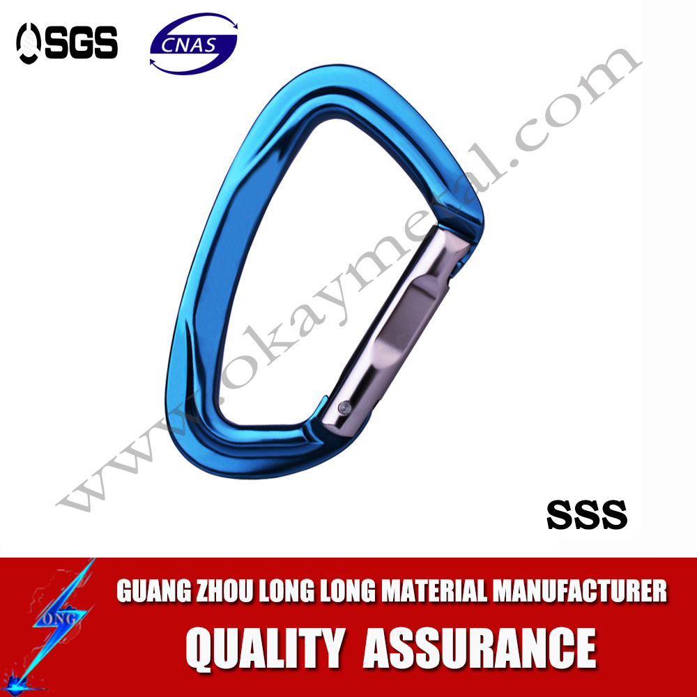 Carabiner hook clip 